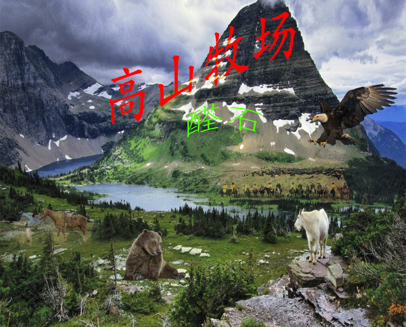 Cao Sơn Mục Trường